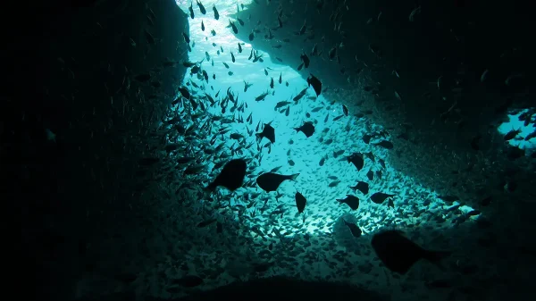 cavern paradise el nido