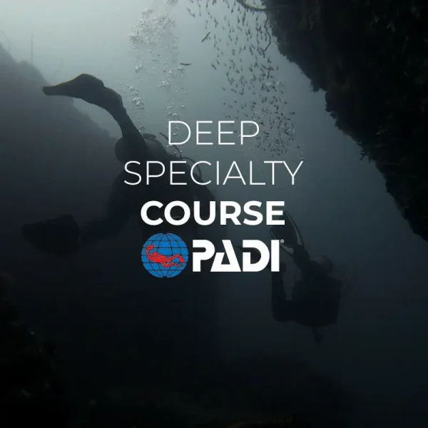 deep diver specialty el nido palawan divers