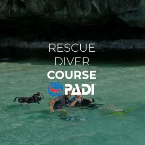 padi rescue diver course palawan divers