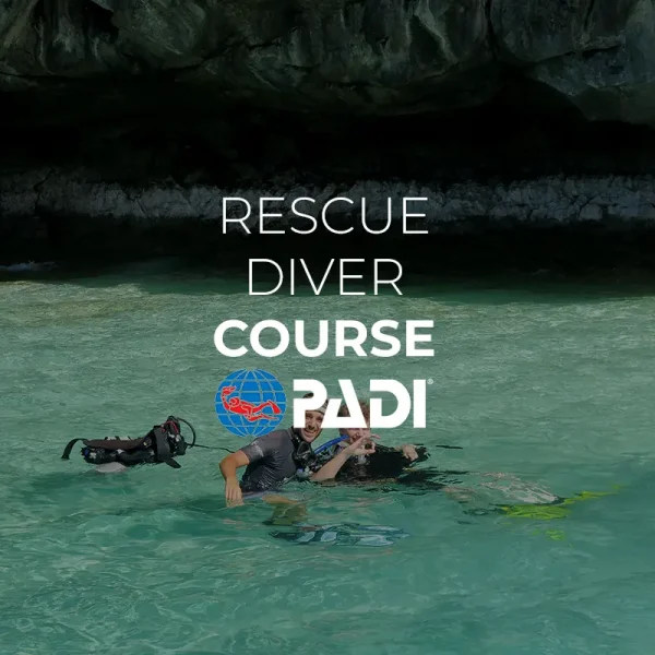 padi rescue diver course palawan divers