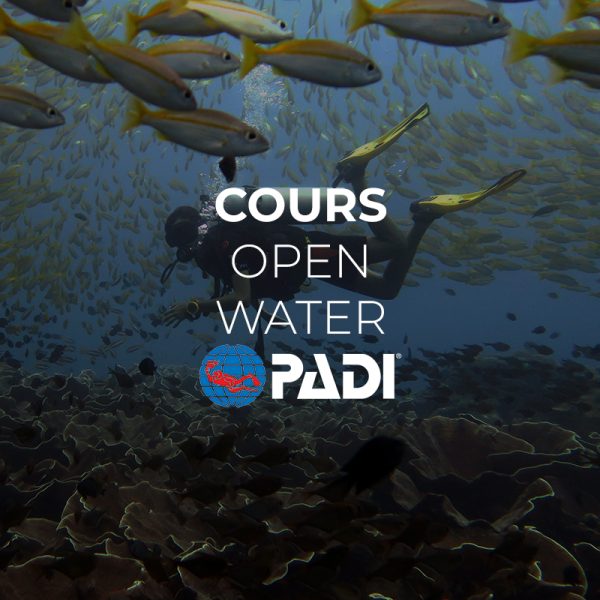 cours open water padi el nido palawan