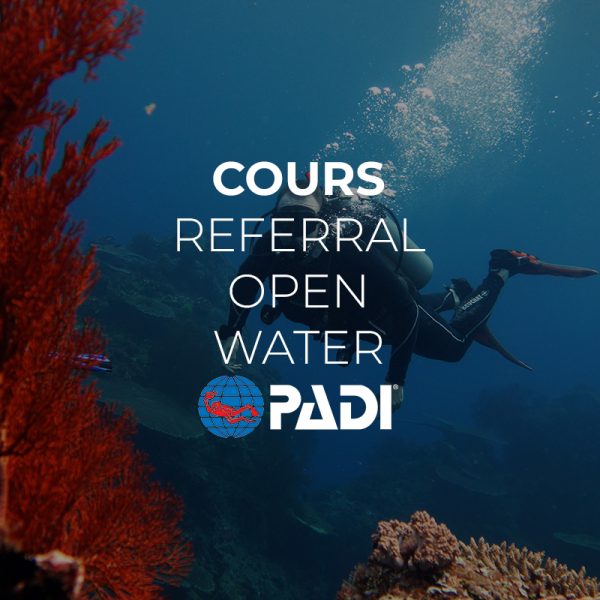 cours referral el nido palawan divers