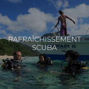 rafraîchissement el nido palawan divers