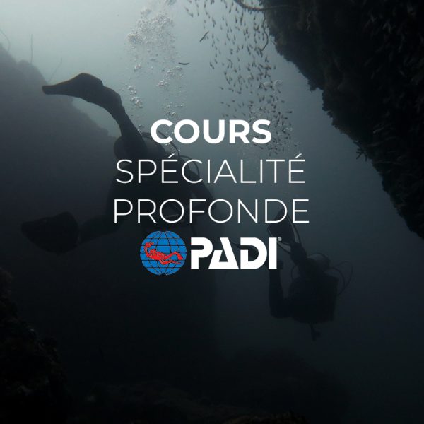 spécialité profonde PADI el nido palawan divers